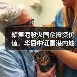 聚焦港股央国企投资价值，华夏中证香港内地国有企业ETF联接基金即将发行（图2）