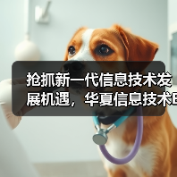 抢抓新一代信息技术发展机遇，华夏信息技术ETF即将结募（图3）