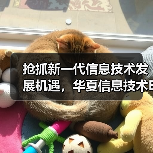 抢抓新一代信息技术发展机遇，华夏信息技术ETF即将结募（图4）