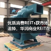 优质消费REITs获市场追捧，华润商业R