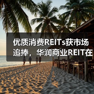 优质消费REITs获市场追捧，华润商业REIT在深交所成功上市（图4）