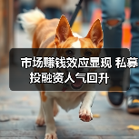 市场赚钱效应显现 私募投融资人气回升（图4）