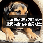 上海农商银行为航空产业提供全链条全周期金融服务（图4）