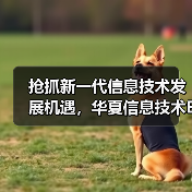 抢抓新一代信息技术发展机遇，华夏信息技术