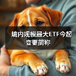 境内规模最大ETF今起变更简称