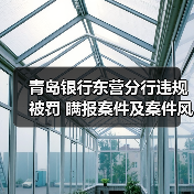 青岛银行东营分行违规被罚 瞒报案件及案件风险信息等（图4）