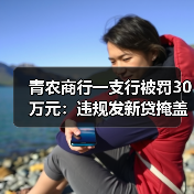 青农商行一支行被罚30万元：违规发新贷掩盖旧不良，副行长同步被罚（图1）