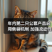 年内第二只公募产品启用侧袋机制 加强流动性风险管理避免估值失真（图2）