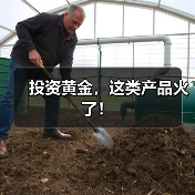 投资黄金，这类产品火了！（图3）
