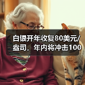 白银开年收复80美元/盎司,年内将冲击100?(图4) 白银开年收复80美元/盎司,年内将冲击100?(图4)