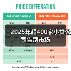 2025年超400家小贷公司告别市场(图2) 2025年超400家小贷公司告别市场(图2)