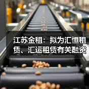 江苏金租:拟为汇恒租赁、汇运租赁有关融资共提供3468万美元担保(图3) 江苏金租:拟为汇恒租赁、汇运租赁有关融资共提供3468万美元担保(图3)