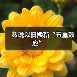 数说以旧换新“五重效应”（图3）
