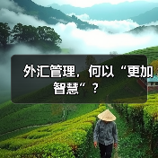 外汇管理，何以“更加智慧”？（图3）