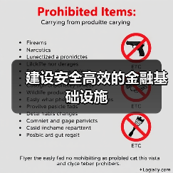 建设安全高效的金融基础设施（图4）