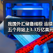 我国外汇储备规模 连续五个月站上3.3万亿美元(图4) 我国外汇储备规模 连续五个月站上3.3万亿美元(图4)