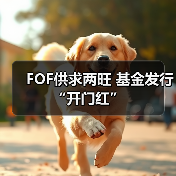 FOF供求两旺 基金发行“开门红”(图2) FOF供求两旺 基金发行“开门红”(图2)