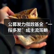 公募发力指数基金“一指多发”成主流策略