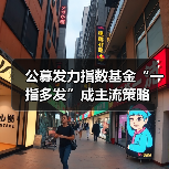 公募发力指数基金“一指多发”成主流策略(图2) 公募发力指数基金“一指多发”成主流策略(图2)