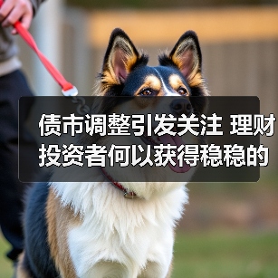 债市调整引发关注 理财投资者何以获得稳稳的幸福（图3）