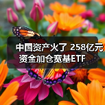 中国资产火了 258亿元资金加仓宽基ETF（图1）