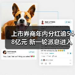 上市券商年内分红逾548亿元 新一轮派息进入落地阶段(图4) 上市券商年内分红逾548亿元 新一轮派息进入落地阶段(图4)