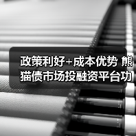 政策利好+成本优势 熊猫债市场投融资平台功能凸显(图3) 政策利好+成本优势 熊猫债市场投融资平台功能凸显(图3)
