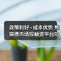 政策利好+成本优势 熊猫债市场投融资平台功能凸显(图2) 政策利好+成本优势 熊猫债市场投融资平台功能凸显(图2)