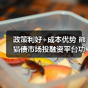 政策利好+成本优势 熊猫债市场投融资平台功能凸显(图4) 政策利好+成本优势 熊猫债市场投融资平台功能凸显(图4)