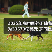 2025年底中国外汇储备为33579亿美元 环同比双增(图1) 2025年底中国外汇储备为33579亿美元 环同比双增(图1)