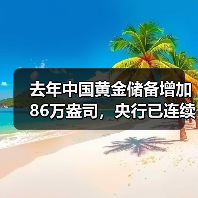 去年中国黄金储备增加86万盎司,央行已连续14个月增持(图2) 去年中国黄金储备增加86万盎司,央行已连续14个月增持(图2)
