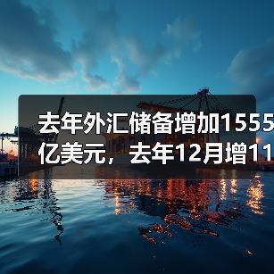 去年外汇储备增加1555亿美元，去年12月增115亿美元（图3）