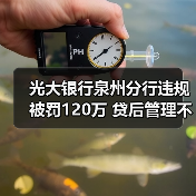 光大银行泉州分行违规被罚120万 贷后管理不到位等(图4) 光大银行泉州分行违规被罚120万 贷后管理不到位等(图4)