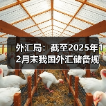 外汇局：截至2025年12月末我国外汇储备规模为33579亿美元（图2）