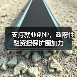支持就业创业,政府性融资担保扩围加力(图1) 支持就业创业,政府性融资担保扩围加力(图1)