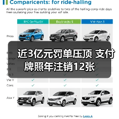 近3亿元罚单压顶 支付牌照年注销12张(图2) 近3亿元罚单压顶 支付牌照年注销12张(图2)
