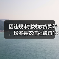 因违规审批发放贷款等，松溪县农信社被罚150万元（图4）