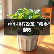 中小银行改革“瘦身”提质(图1) 中小银行改革“瘦身”提质(图1)