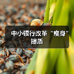中小银行改革“瘦身”提质(图3) 中小银行改革“瘦身”提质(图3)