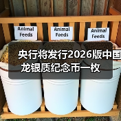 央行将发行2026版中国龙银质纪念币一枚(图4) 央行将发行2026版中国龙银质纪念币一枚(图4)