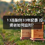 13连阳创33年纪录 投资者如何应对？（图1）