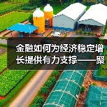 金融如何为经济稳定增长提供有力支撑——聚焦中国人民银行2026年任务清单（图3）