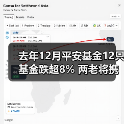 去年12月平安基金12只基金跌超8% 两老将携手垫底(图3) 去年12月平安基金12只基金跌超8% 两老将携手垫底(图3)