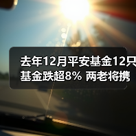 去年12月平安基金12只基金跌超8% 两老将携手垫底(图1) 去年12月平安基金12只基金跌超8% 两老将携手垫底(图1)