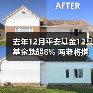去年12月平安基金12只基金跌超8% 两老将携手垫底(图4) 去年12月平安基金12只基金跌超8% 两老将携手垫底(图4)