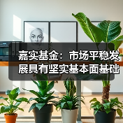 嘉实基金：市场平稳发展具有坚实基本面基础 A股长期投资价值凸显（图3）