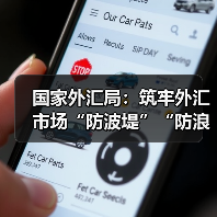 国家外汇局:筑牢外汇市场“防波堤”“防浪堤”(图2) 国家外汇局:筑牢外汇市场“防波堤”“防浪堤”(图2)