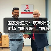 国家外汇局:筑牢外汇市场“防波堤”“防浪堤”(图3) 国家外汇局:筑牢外汇市场“防波堤”“防浪堤”(图3)