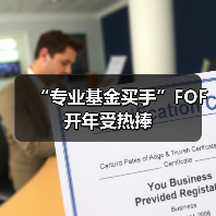 “专业基金买手”FOF开年受热捧(图4) “专业基金买手”FOF开年受热捧(图4)