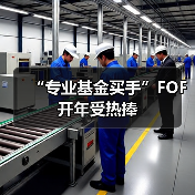 “专业基金买手”FOF开年受热捧(图3) “专业基金买手”FOF开年受热捧(图3)